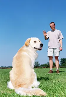 Obedience: DOG - man training dog to sit