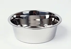 Metal: DOG - METAL FEEDING BOWL