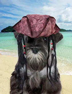 Fancy: Dog - Miniature Schnauzer