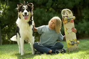 Stroking: Dog - Mongrel with boy & skateboard