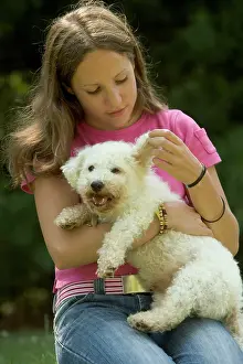 Stroking: Dog - mongrel on girls lap