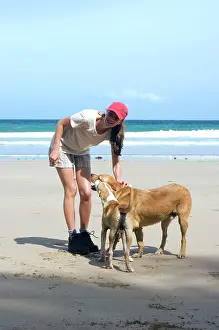Numbers: Dog - mongrels with tourist - Dogs roam free on