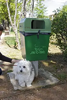 Pick: Dog near a dustbin to collect dog mess France
