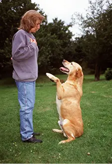 Obedience: DOG - with owner, begging