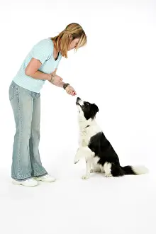 Obedience: DOG - Owner giving dog a food reward
