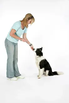 Obedience: DOG - Owner giving dog a food reward