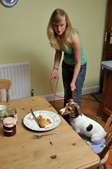 Unhygenic: DOG. owner using a house line to train dog