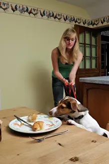 Unhygenic: DOG. owner using a house line to train dog