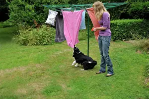 Pistol: DOG. owner using water pistol in training for bad behaviour