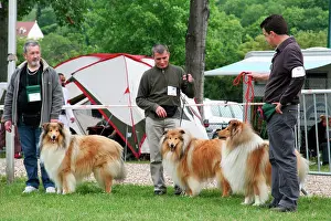 Owners: Dog show - owners with collies