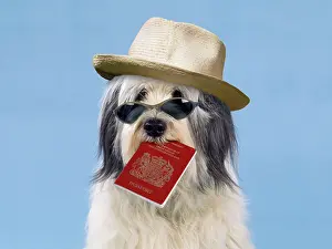 Passport: Dog - with passport & sun hat
