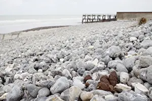 Scrap: Dog poop on a shingle beach Normandy France