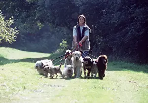 Exercising: DOG - professional dog walker