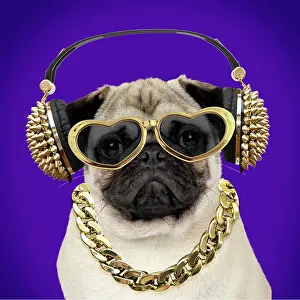 Sounds: Dog