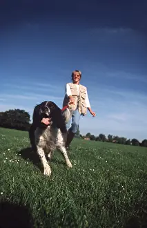Pulling: DOG - pulling owner on lead, whilst being taken for a walk