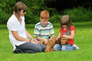 Interacting: Dog - Puppy (Briard) interacting with family