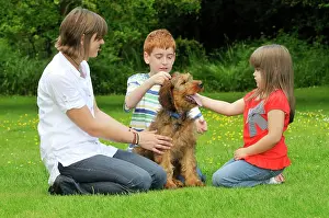 Interacting: Dog - Puppy (Briard) interacting with family