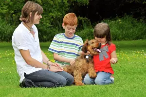 Interacting: Dog - Puppy (Briard) interacting with family