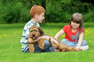 Interacting: Dog - Puppy (Briard) interacting with family