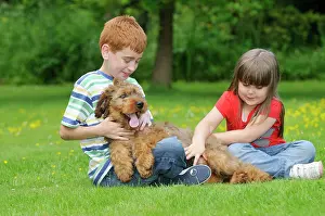 Interacting: Dog - Puppy (Briard) interacting with family