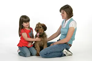 Interacting: Dog - Puppy (Briard) interacting with a family