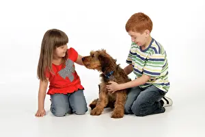Interacting: Dog - Puppy (Briard) interacting with a family