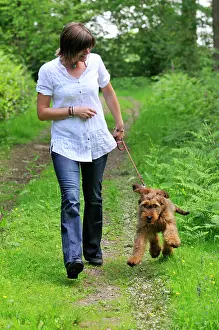 Brie: Dog - Puppy (Briard) on a lead