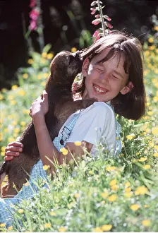 Stroking: DOG - Puppy Licks Child's Face