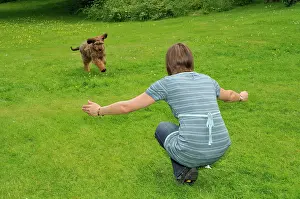 Squatting: Dog - Puppy running towards woman squatting with arms open