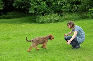 Squatting: Dog - Puppy running towards woman squatting with arms open