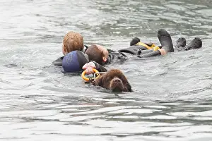 Ports: Dog Rescue Newfoundland exercise in Erquy