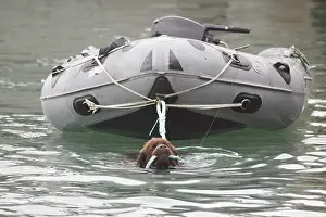 Ports: Dog Rescue Newfoundland exercise in Erquy