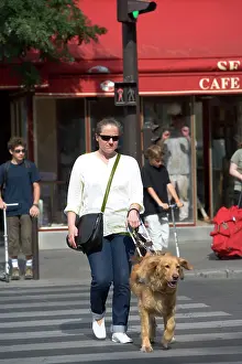 Disabled: Dog - Retriever - Guide Dog for the Blind crossing