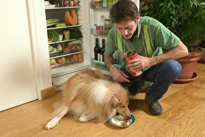 Tins: Dog - Rough Collie being fed web food by owner