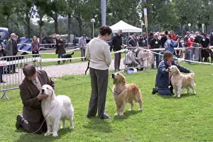 Owners: Dog Show. France