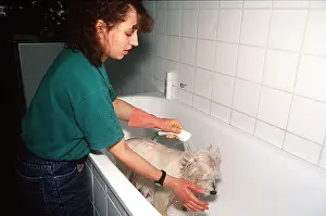Cleaning: DOG - being showered in bath