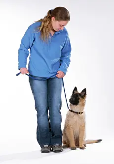 Obedience: DOG Training - Heel, Tervuren puppy