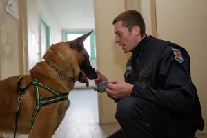 Giving: Dog training in search of drugs - France