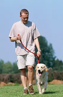 Walked: Dog - being walked by man. Good example of 'walking
