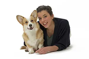 Pembroke: Dog - Welsh Corgi Pembroke - with girl