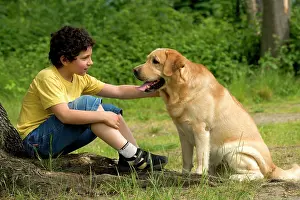 Labardor: Dog - young boy talking to Labrador Retriever