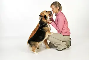 Older: Dog. A younger and older dog vying for owners attention