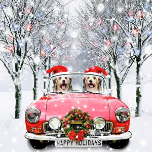 Driving: Two dogs driving red sports car down snowy road in avenue of
