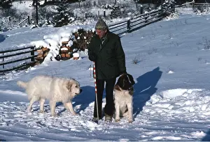 Owner: DOGS - Pyrenean Mountain Dog and St Bernard with owner