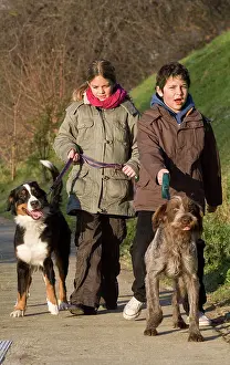 Teenagers: Dogs - being walked by young children / teenagers