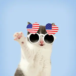 Novelty: Domestic Cat, waving, wearing heart shaped American