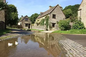 Cottages: Two Domestic Ducks - on ford