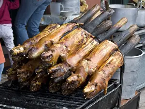 Markets: Domestic Guinea Pigs grilled Quito Ecuador