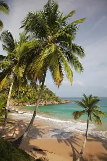 Playa: Dominican Republic, North Coast, Abreu
