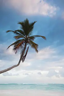 Playa: Dominican Republic, Punta Cana Region, Bavaro